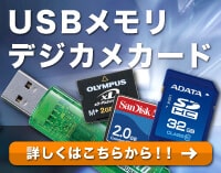 USBメモリ復旧画像